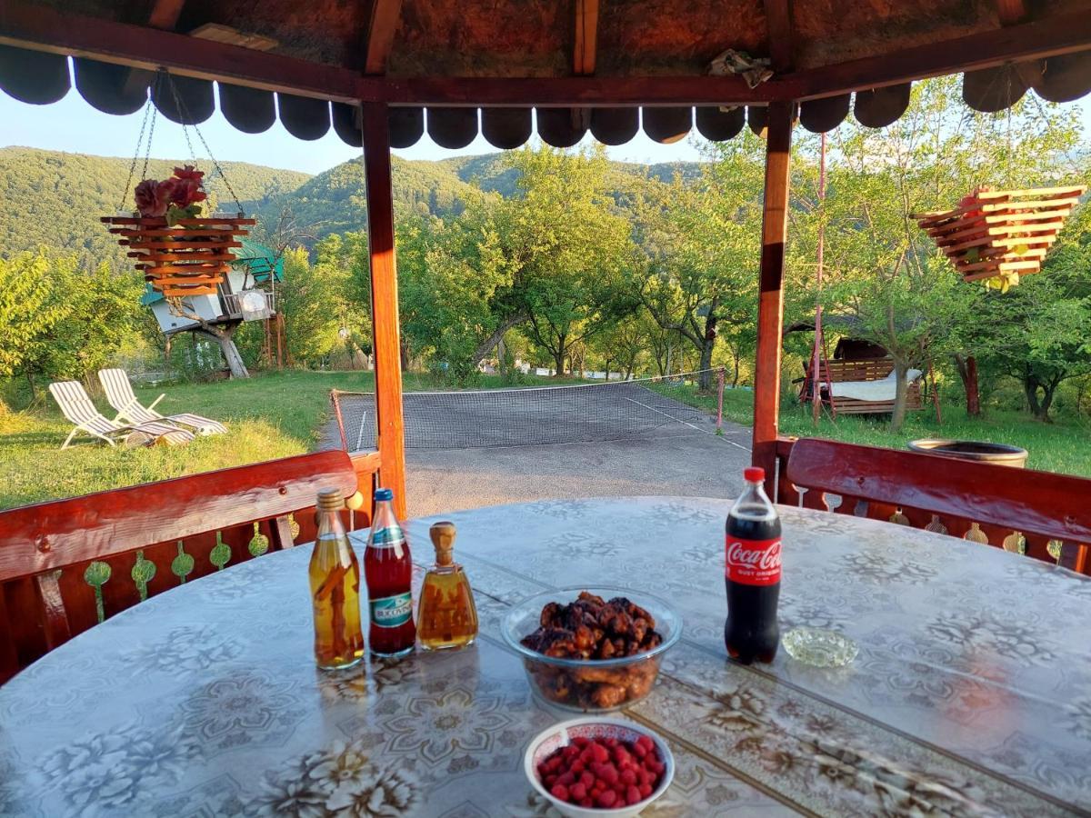 Cabanuta Cu Teren De Tenis Banita Dış mekan fotoğraf