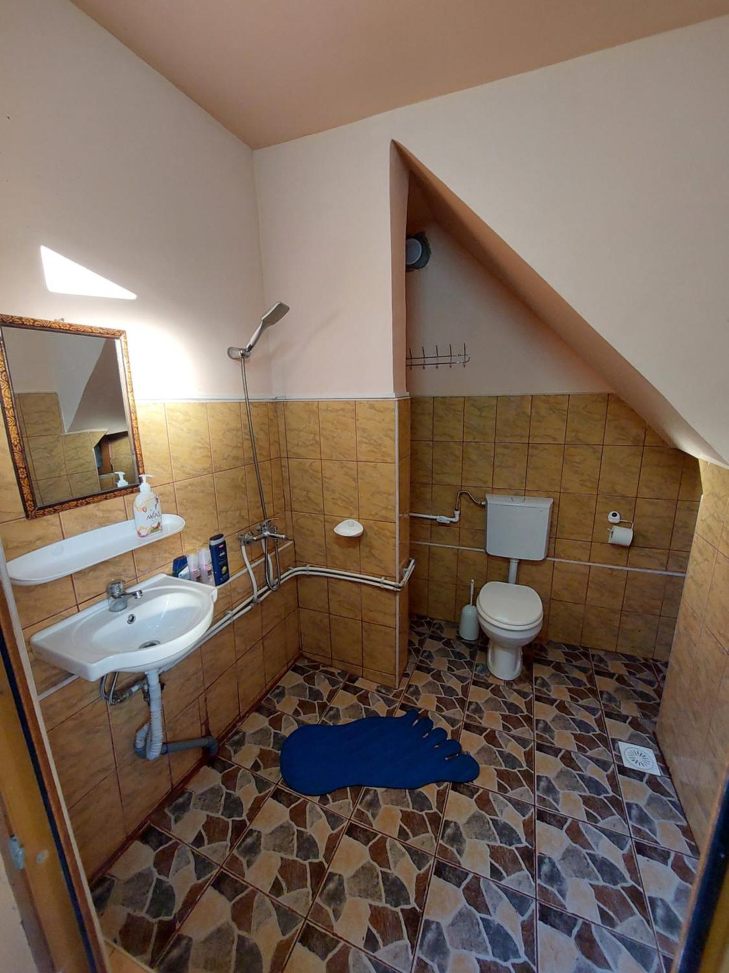 Cabanuta Cu Teren De Tenis Banita Dış mekan fotoğraf